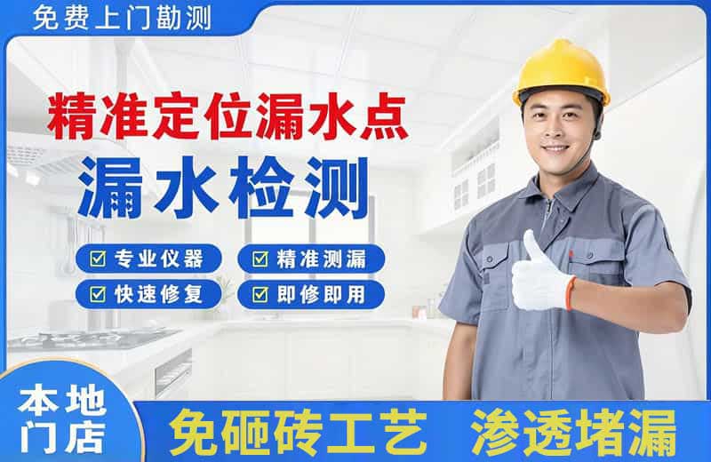 修文精准测漏点